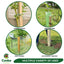 Tanalised Tree Stakes Posts 1.2m (4ft Long) 32mm x 32mm Square - Pointed