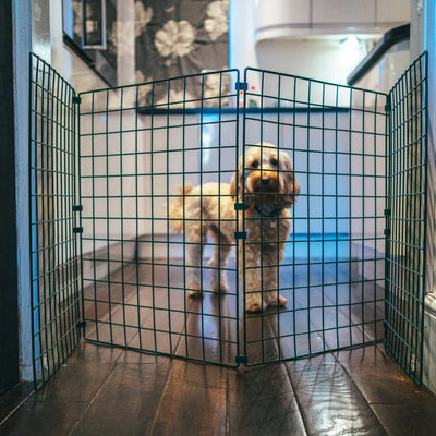 1.2m High Indoor Dog Fencing