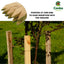 Tanalised Tree Stakes Posts 1.2m (4ft Long) 32mm x 32mm Square - Pointed