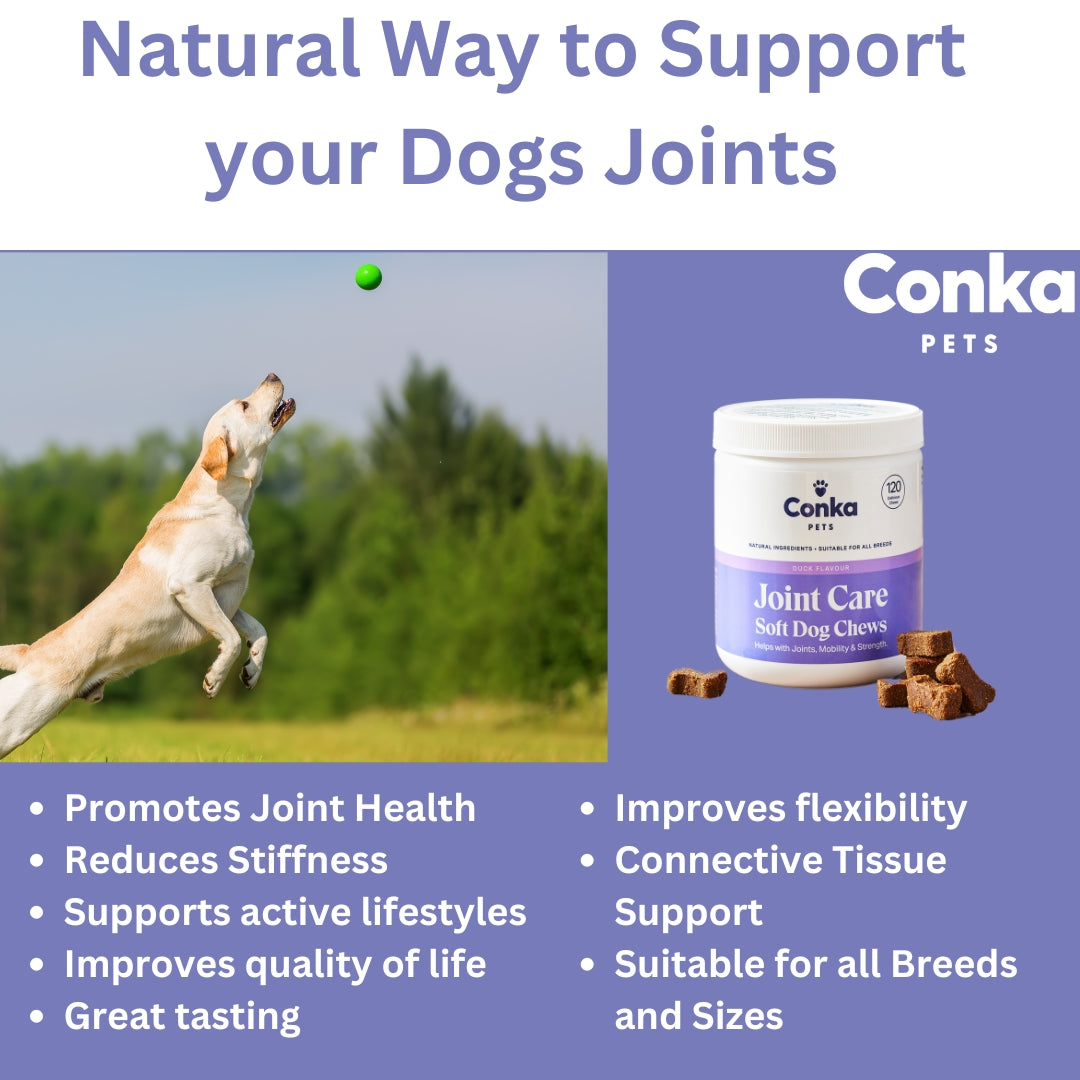 Conka Pets Joint Care Chews For Dogs