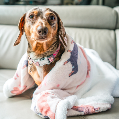 DACHSHUND Relax & Paws Blanket & Candle Gift Set