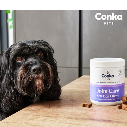 Conka Pets Joint Care Chews For Dogs