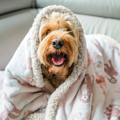 Cockapoo 'Relax & Paws' Blanket & Candle Gift Set