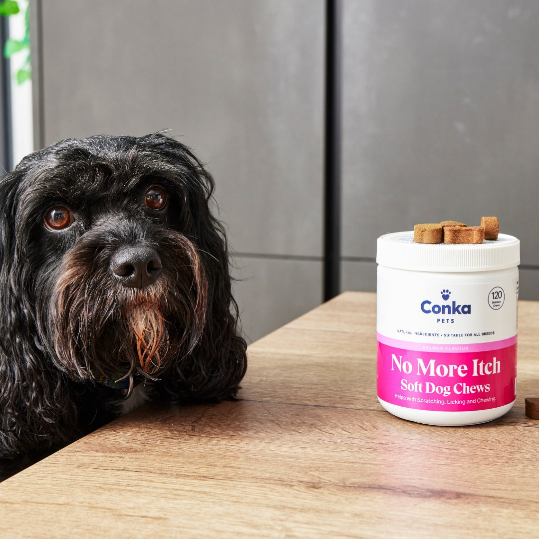 Conka Pets No More Itch Salmon Flavoured Dog Chews