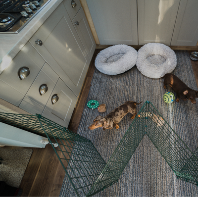 75cm High Indoor Dog Fencing