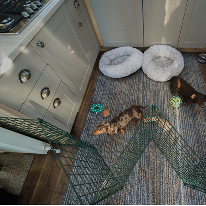 75cm High Indoor Dog Fencing