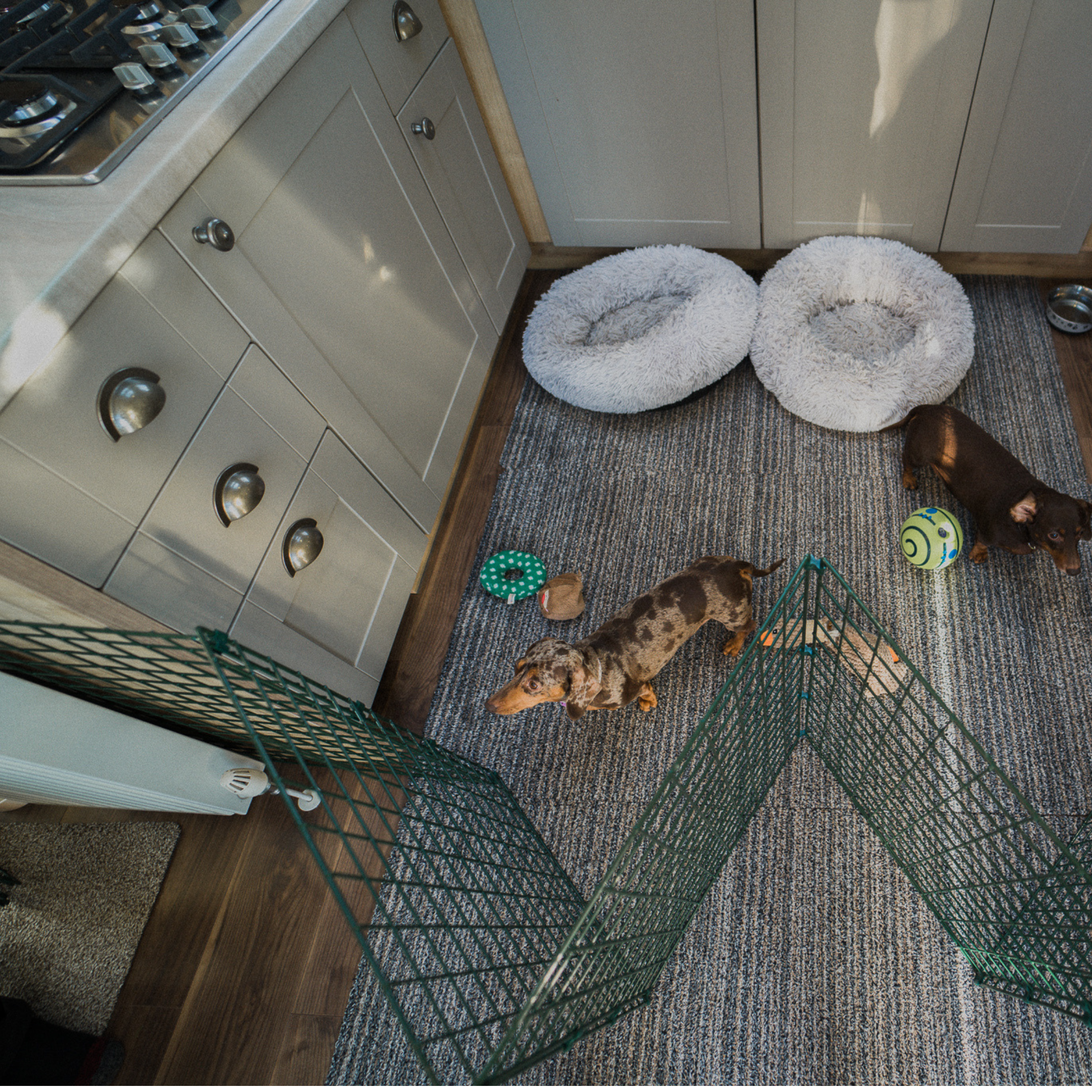 60cm High Indoor Dog Fencing