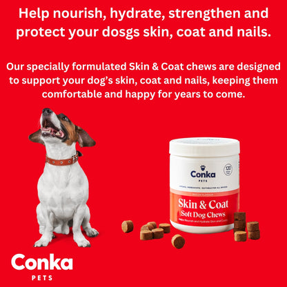 Conka Skin & Coat Dog Chews