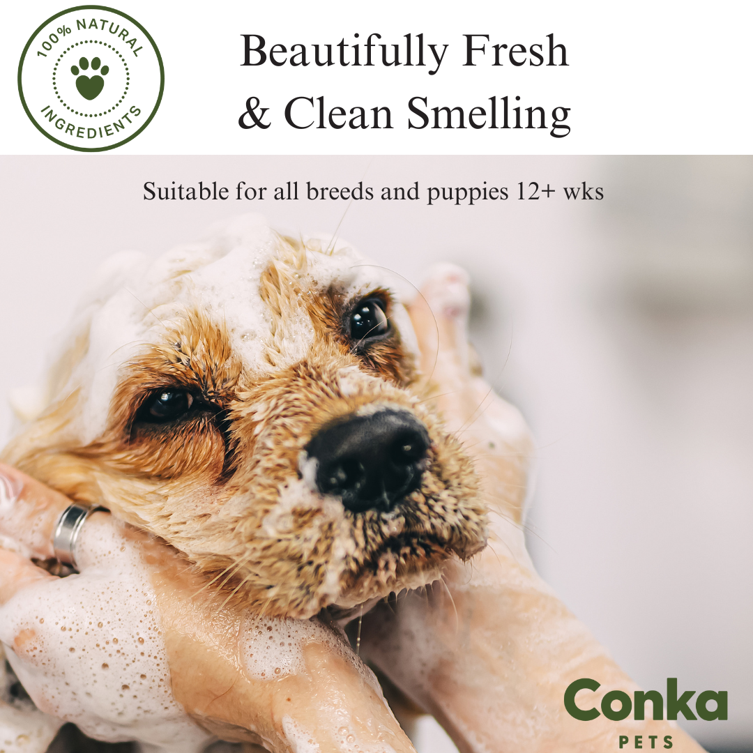 Deshedding Shampoo & Conditioner with FREE Bath & Groom Brush