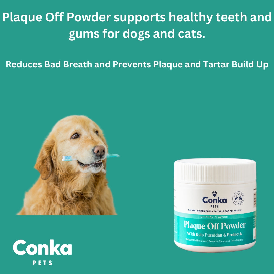 Conka Plaque Off Powder for Dogs