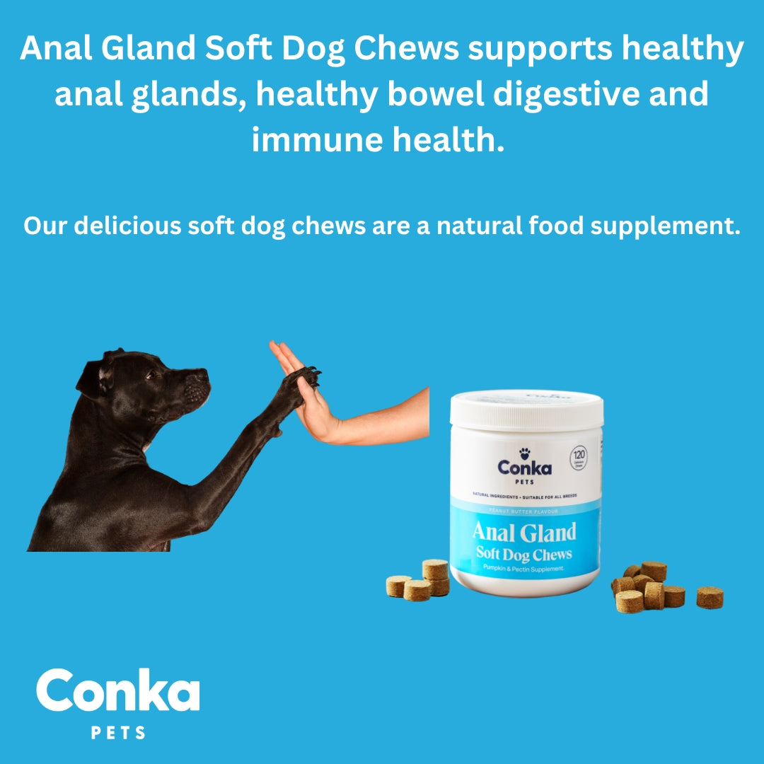 Conka Anal Gland Support Dog Chews