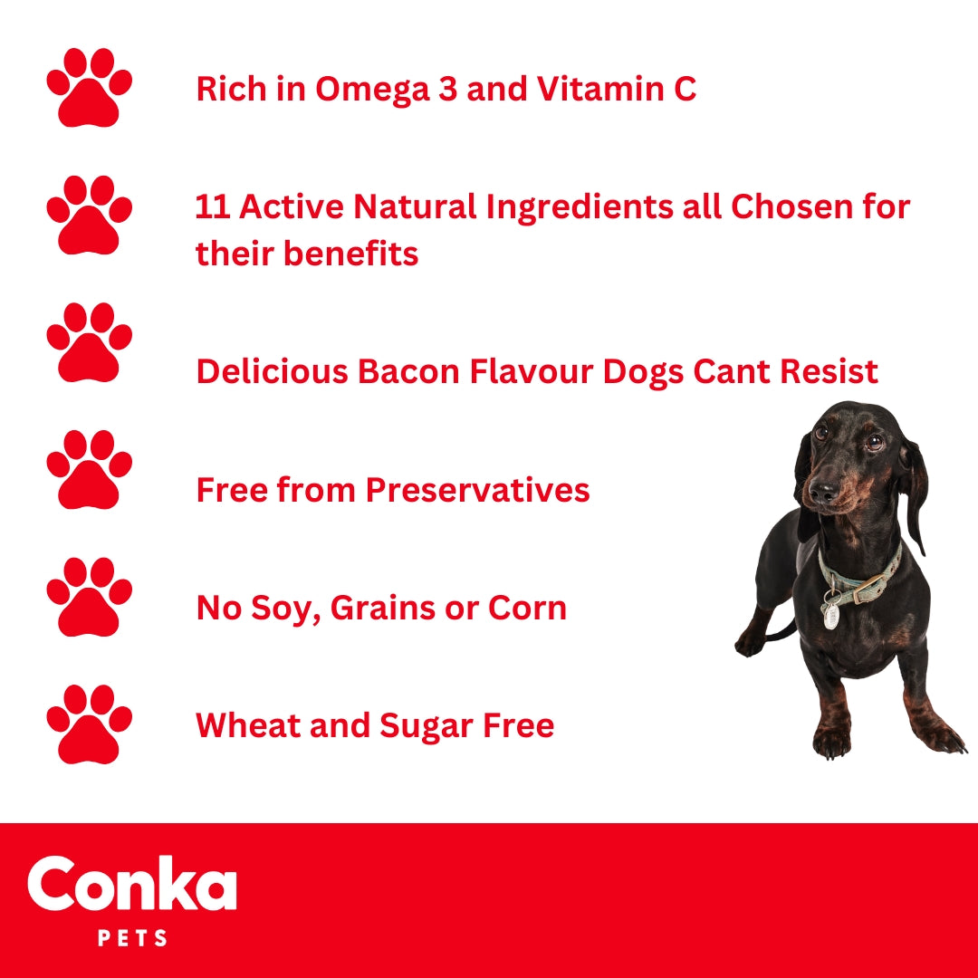 Conka Skin & Coat Dog Chews