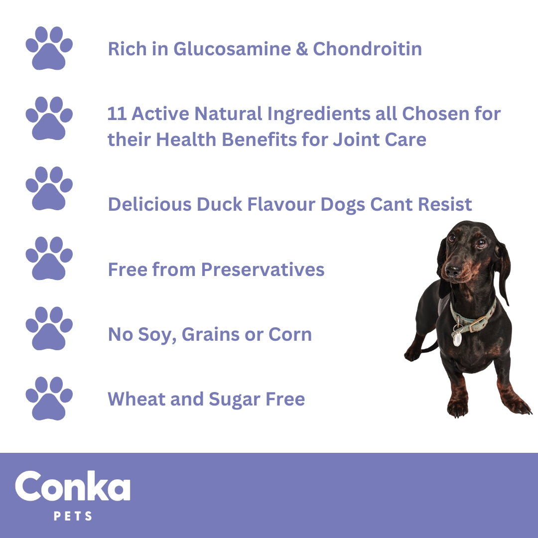 Conka Pets Joint Care Chews For Dogs