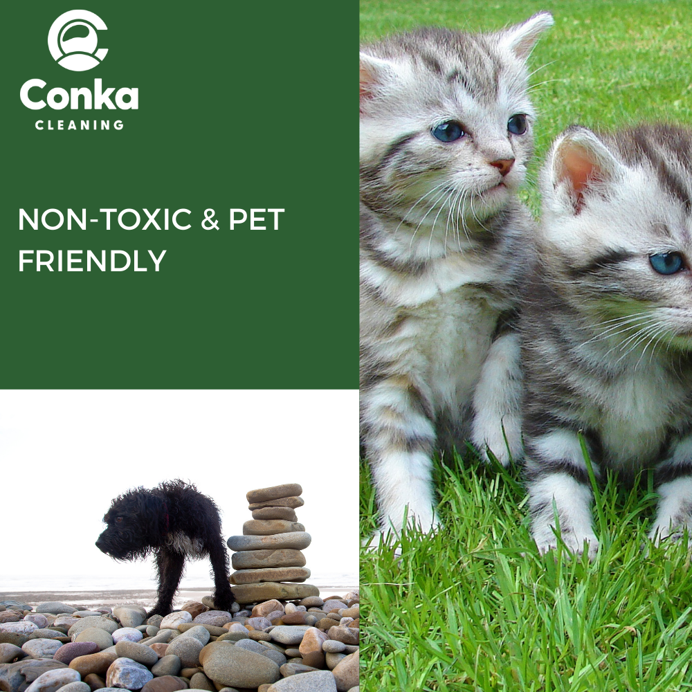 Artificial Grass Cleaner 5L