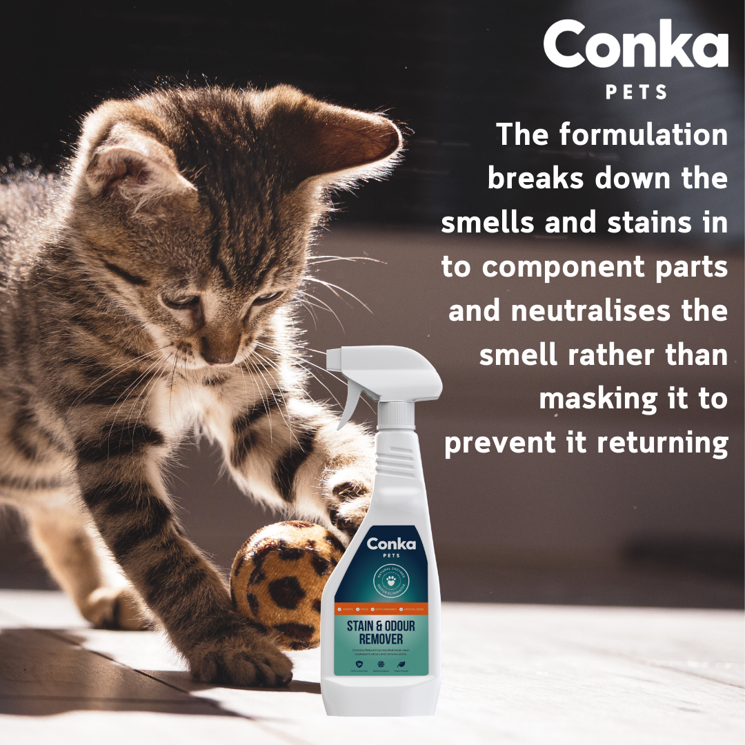 Conka Pets Stain and Odour Remover 5L