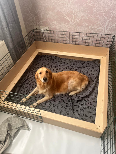 1.5m x 1.5m x 60cm High Whelping Box (5ft x 5ft) For Large Dogs Puppies - With Pig Rails