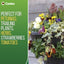 Plantopia/Easy Fill® Wall Basket Black or Green