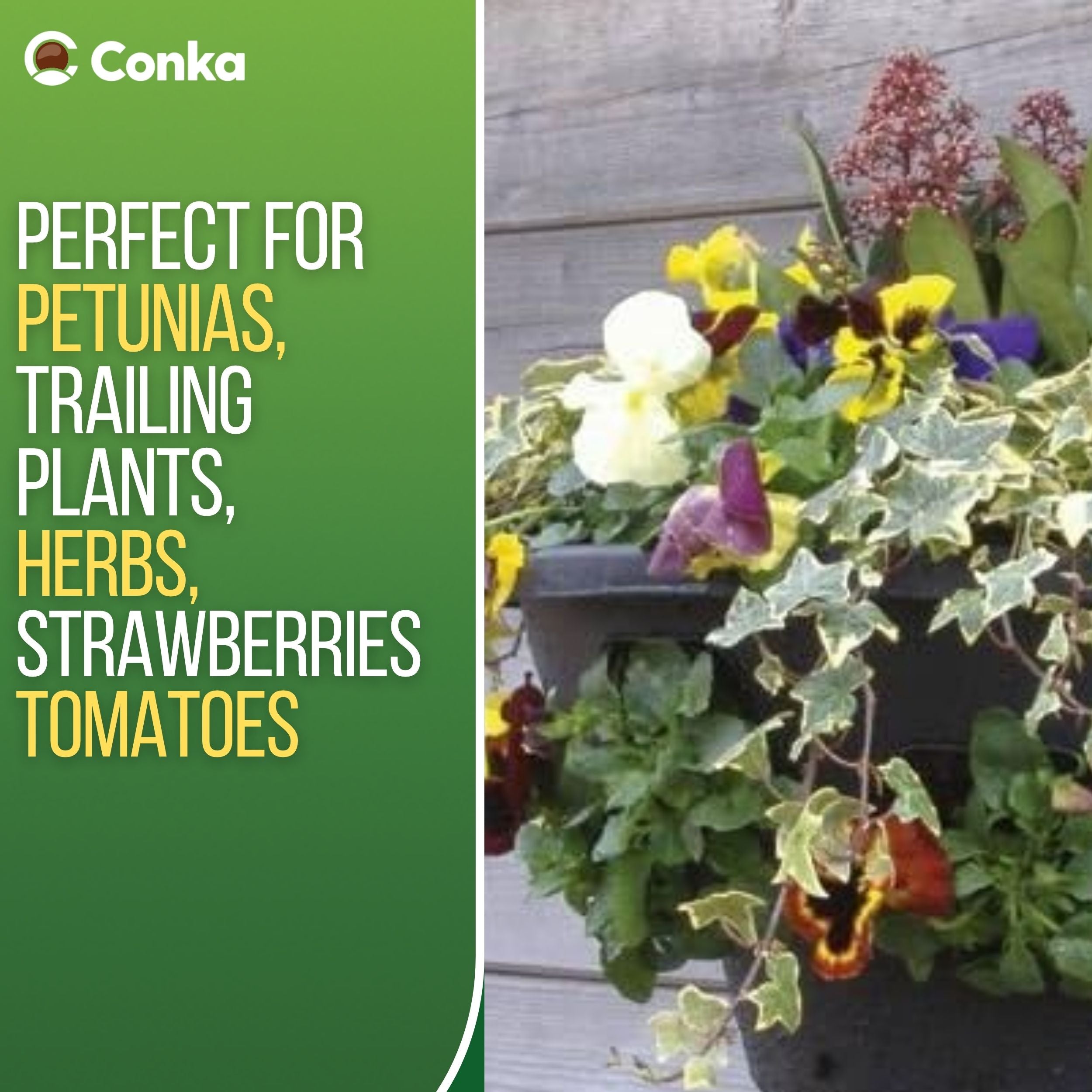 Plantopia/Easy Fill® Wall Basket Black or Green