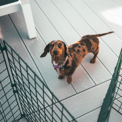 75cm High Indoor Dog Fencing