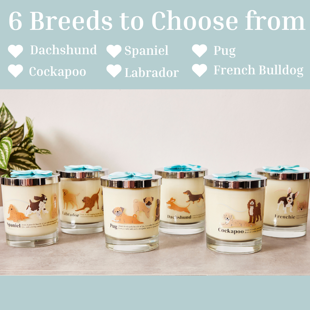French Bulldog Luxury Candle with Lid comes in Gift Box