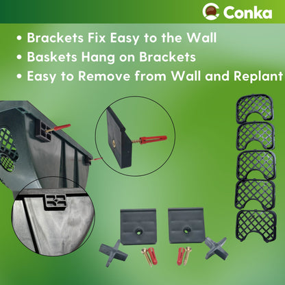 Plantopia/Easy Fill® Wall Basket Black or Green