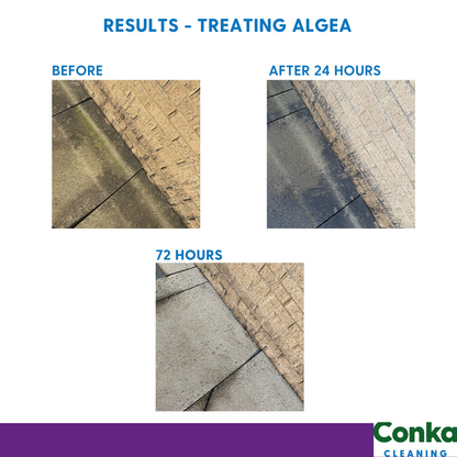 Wet & Walk Away Organic Moss & Algae Remover, Patio Cleaner, Mould, Lichen Remover Concentrate