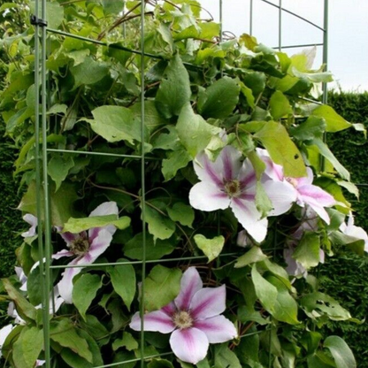Flexigro Garden Trellis Plant Support Flat Panels Wall Plant Support Mesh For Climbing Plants