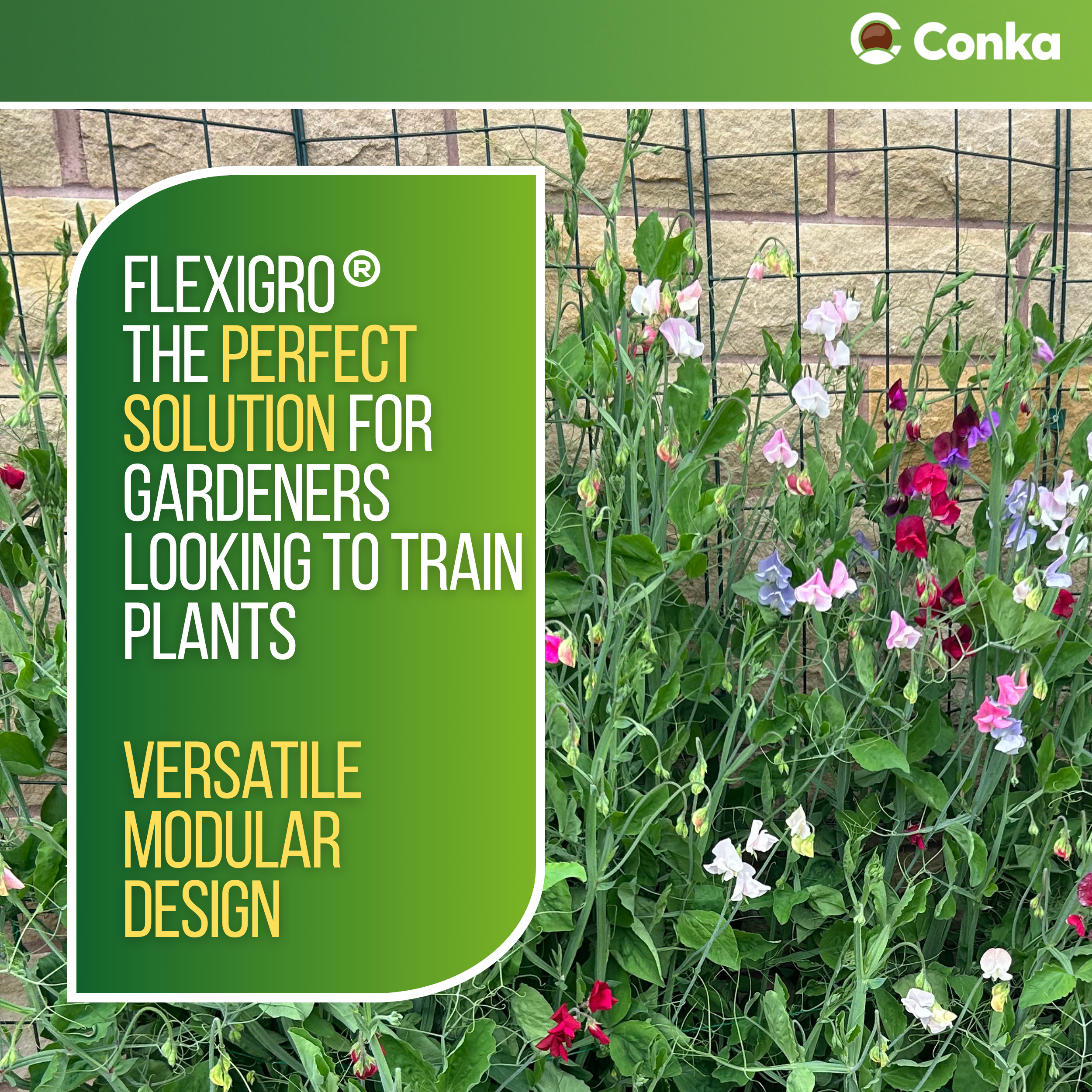 Flexigro® Plant Support – Full Circle