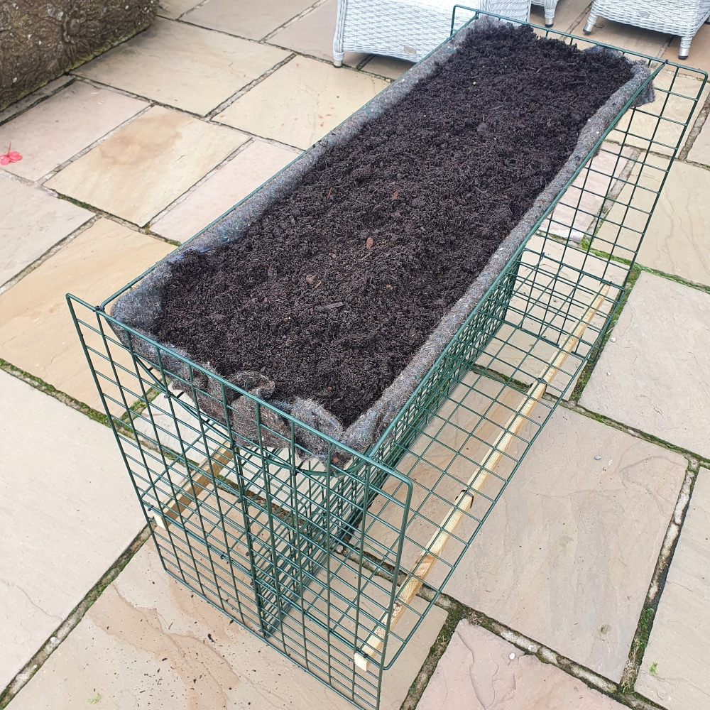 Elevated Raised Bed Growing Platform