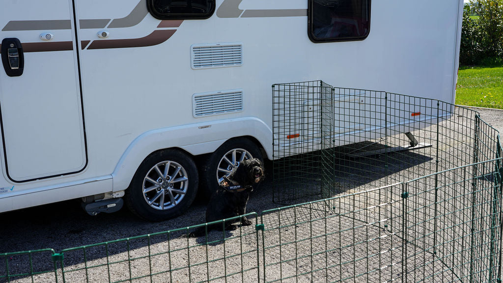 1m High Caravan, Motorhome, Tent, Pitch Dog Fencing - Standard Mesh (100mm x 125mm)