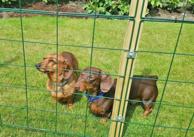 1.5m High Outdoor Mesh Panel Fence – Ideal for All Dogs