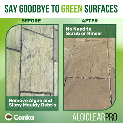 Algiclear Pro Ready To Use 5ltr