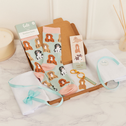 Spaniel Toes & Trinkets Gift Set - Socks, Bookmark & Keyring