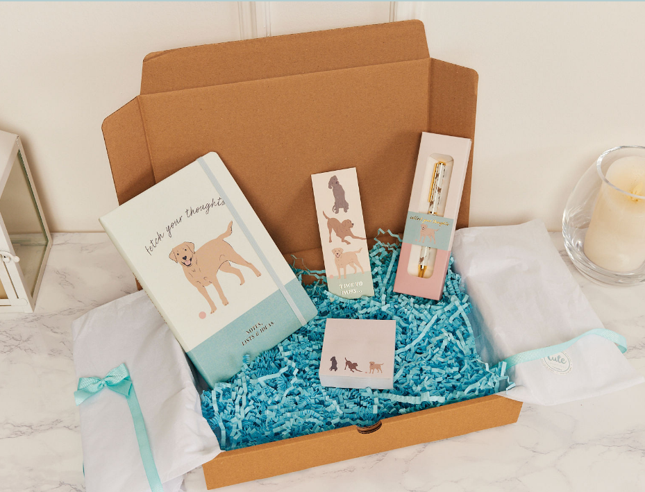 Labrador Jot 'n' Journal Gift Set - Notebook, Pen, Sticky Notes, Bookmark