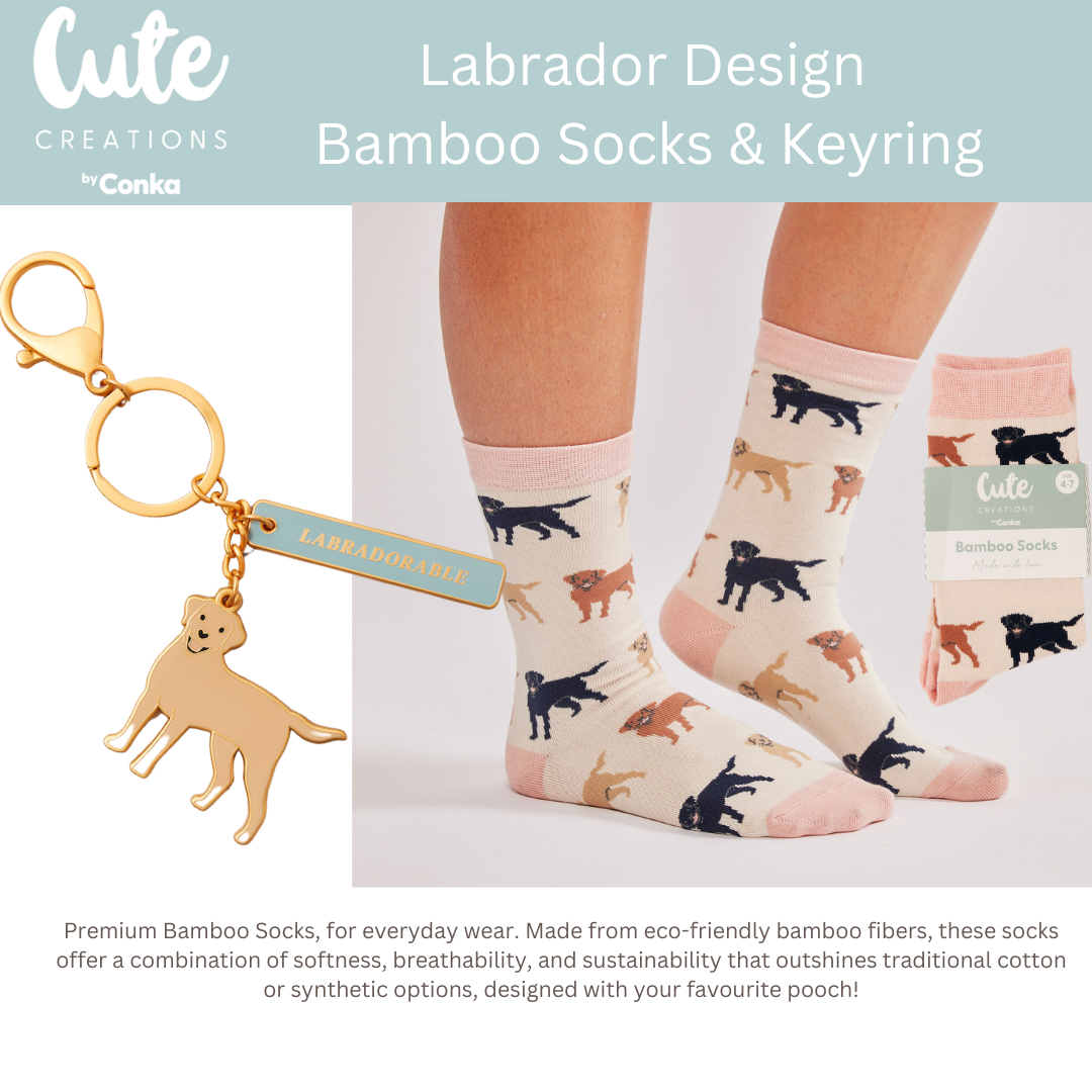 Labrador 'Warm Soles & Goals' Gift Set - Socks, Large Candle, Coaster, Mug, Pen, Keyring