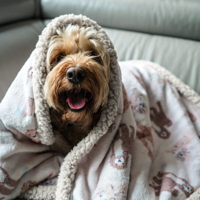 Cockapoo Dog Blankets/Throws
