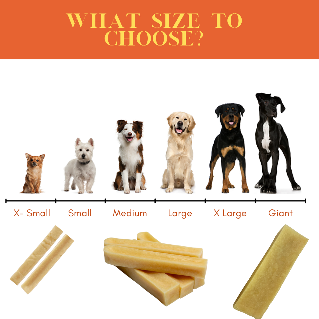 Natural Himalayan Long Lasting YAK Chews