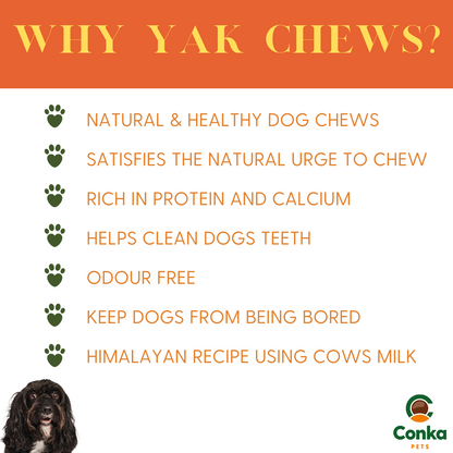 Natural Himalayan Long Lasting YAK Chews