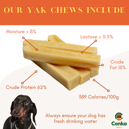 Natural Himalayan Long Lasting YAK Chews