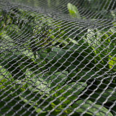 black netting