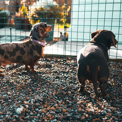 75cm High Folding Dog Fence (50mm x 50mm Mesh) Ideal for Puppy/Small Dogs