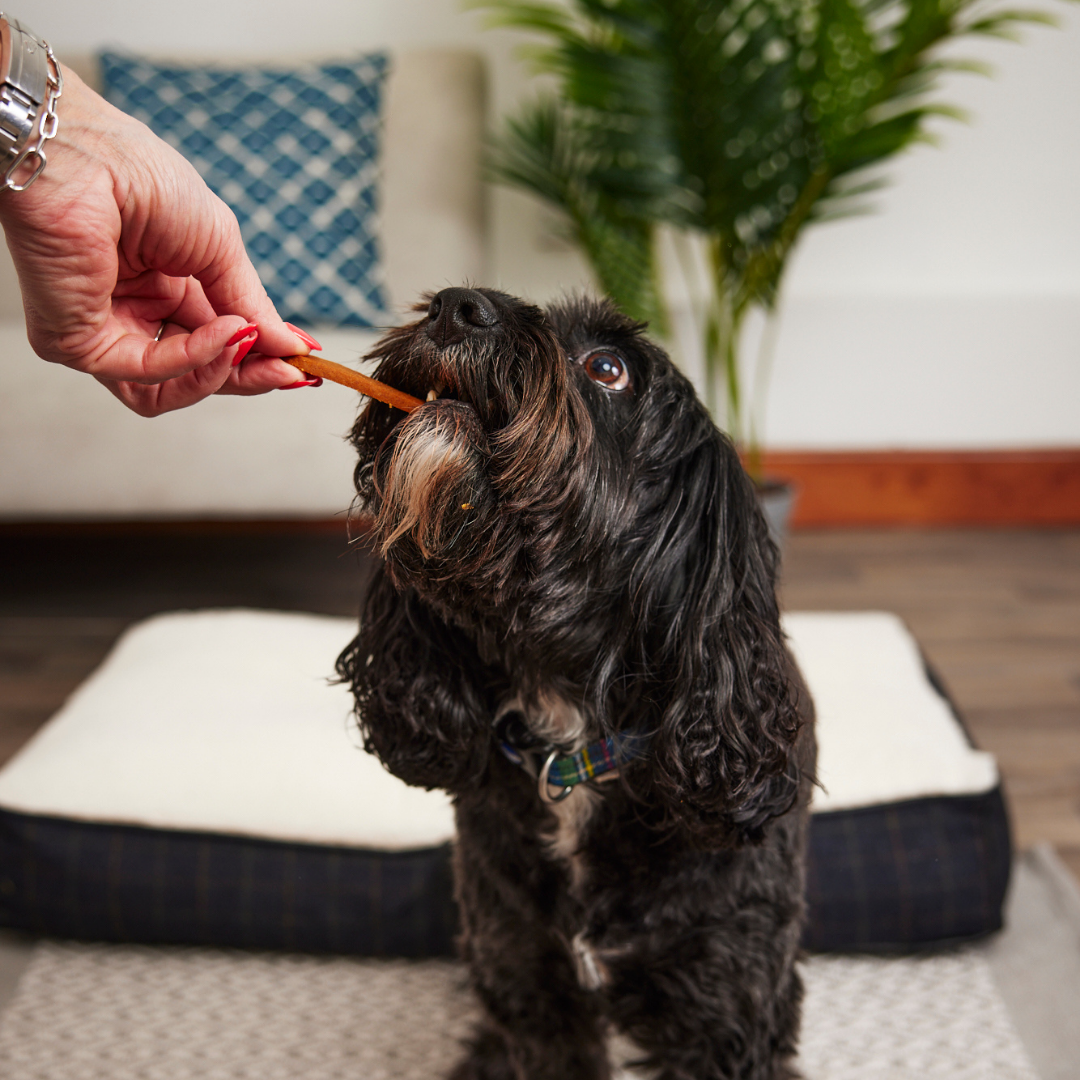 100% Natural Salmon Strips Dog Chews