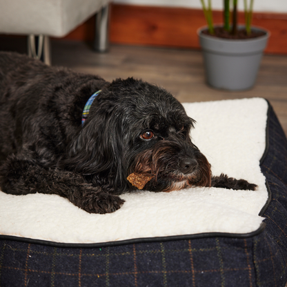 Mixed Pack 5 x Flavours 100% Natural Dog Chews