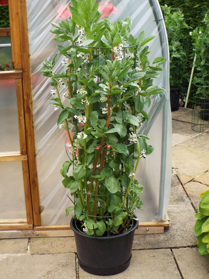 Flexigro® Plant Support – Full Circle