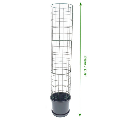 Flexigro Plant Support Towers - Including Pot and Saucer