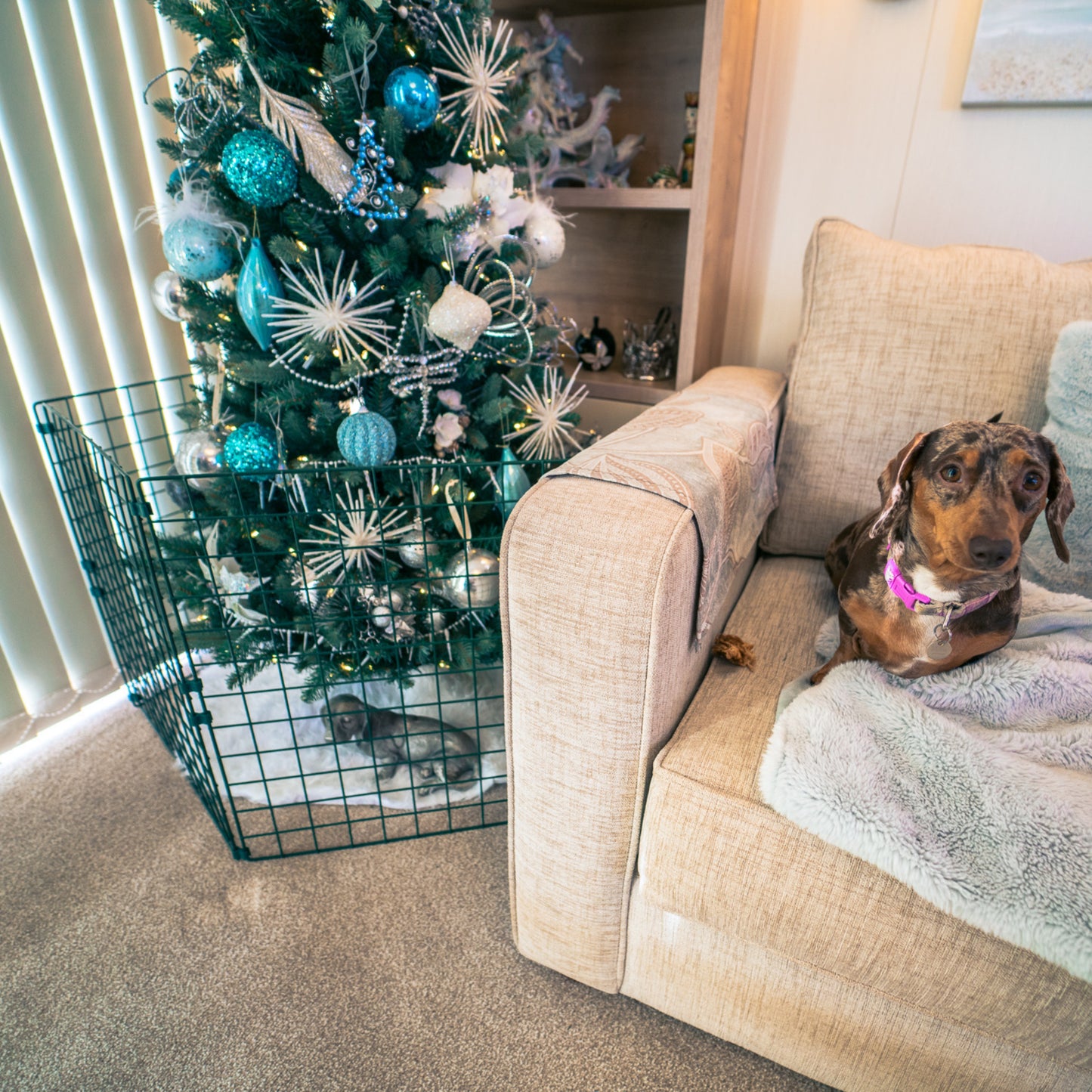 Christmas Tree Protector