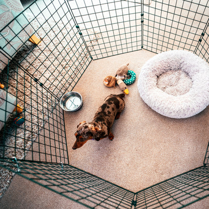 Dog/Puppy Pen's (50mm Mesh)