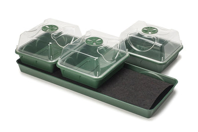 Earlygrow 3 Bay Unheated Windowsill Propagator With Shatterproof Vented Lid, Mat & Tray