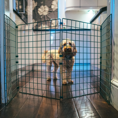 Indoor Dog Gate & Room Divider – 50mm Mesh – 60cm to 1.2m High