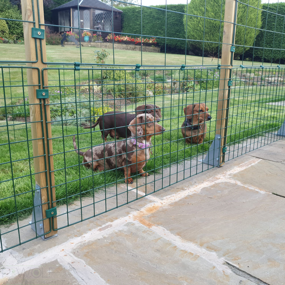 Hard Surface Permanent Fencing -  Standard 100mm x 125mm Mesh - Various Heights